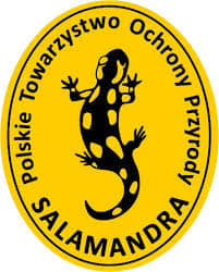Konkurs PTOP Salamandra